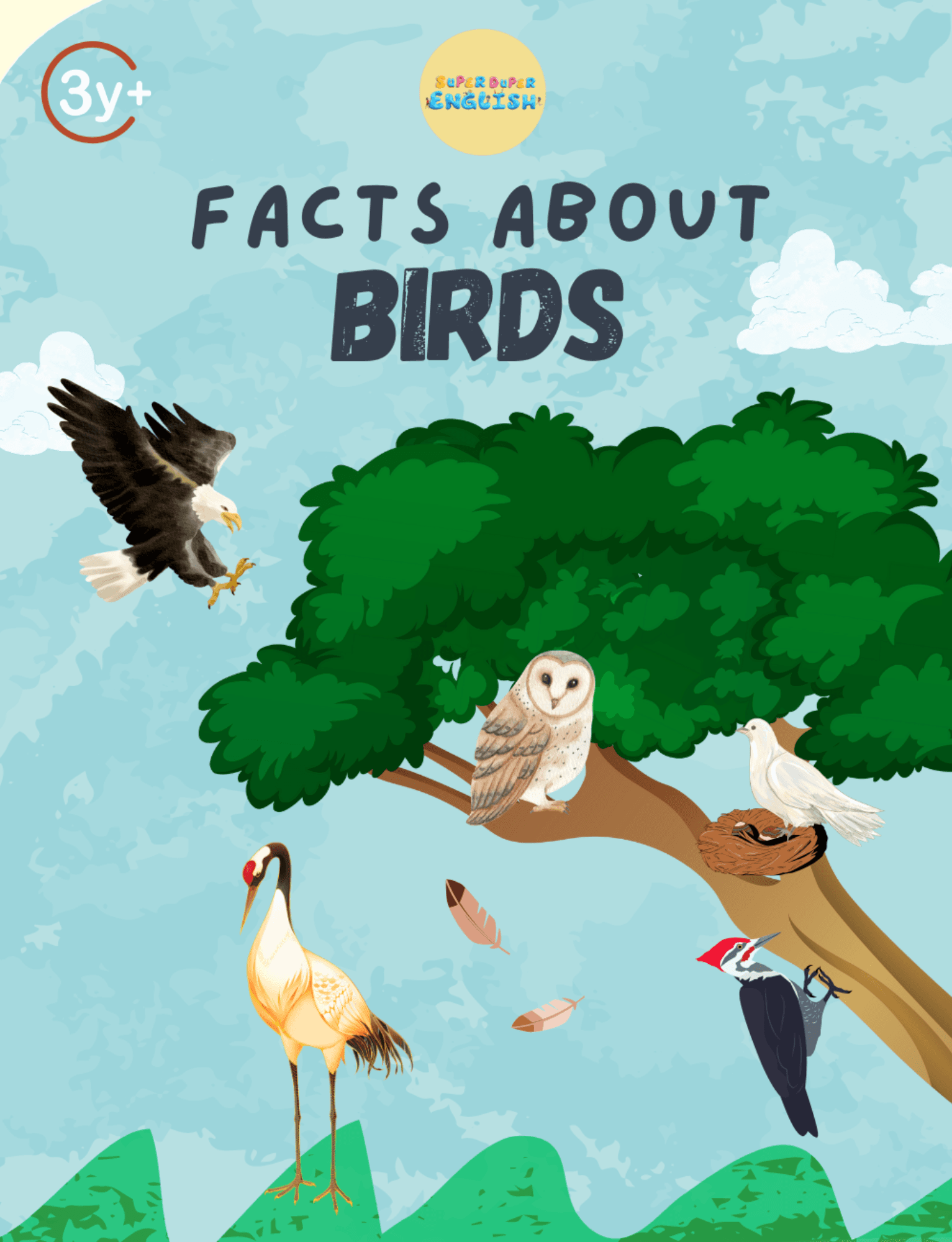 Facts about Birds